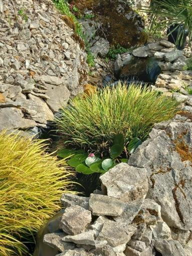 Les Allumettes D'Ecorsaint Ngoại thất bức ảnh